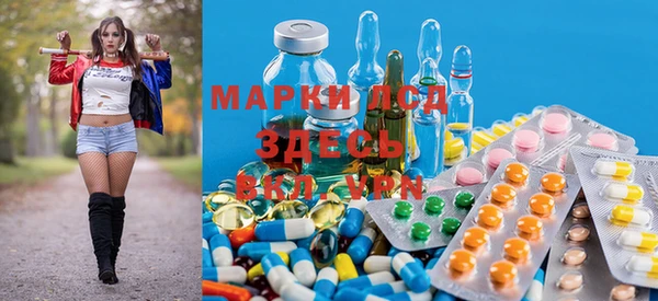 ПСИЛОЦИБИНОВЫЕ ГРИБЫ Баксан