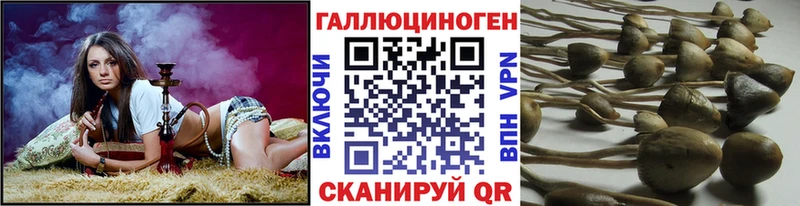 Псилоцибиновые грибы Psilocybe Коркино